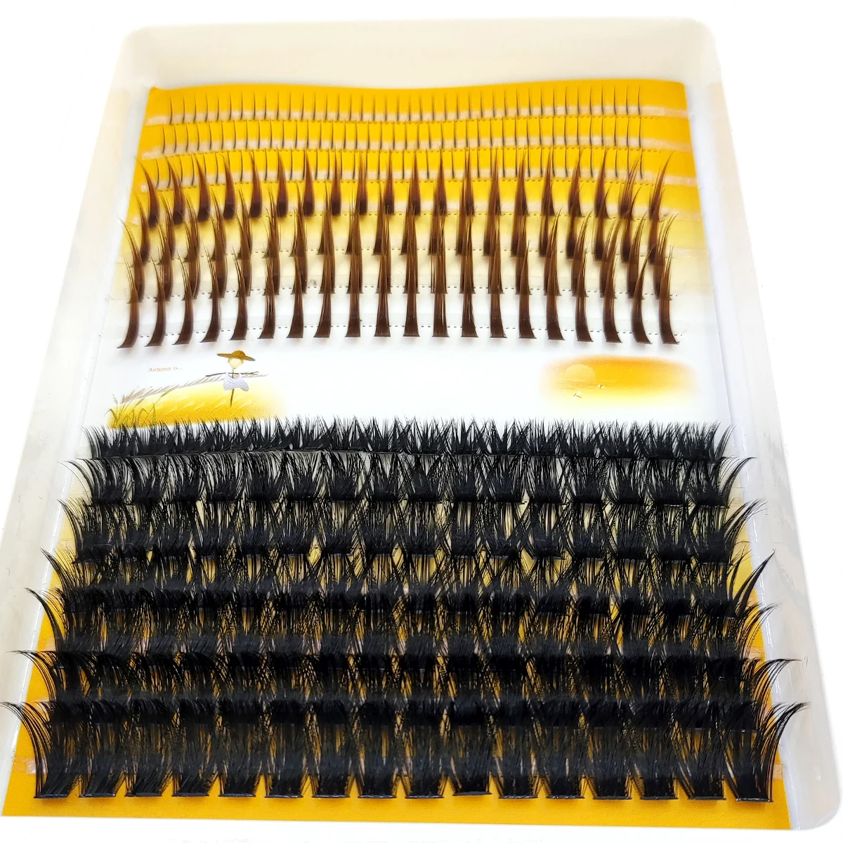 Eyelash Extension Doll Eye - AMSDCN 60D-120D eyelash cluster 3D pointed