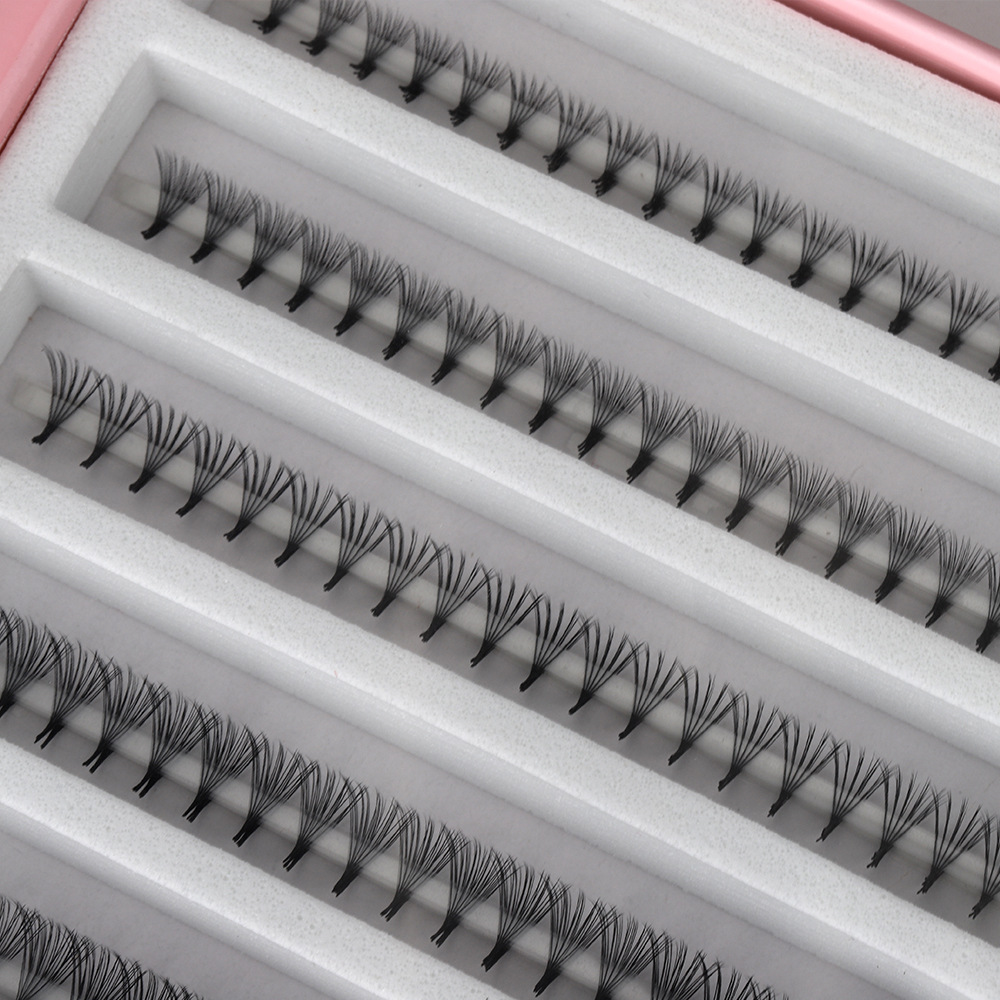 OEM 8D 10D Pointy Base Premade - Mega Volume Lash recension och pris