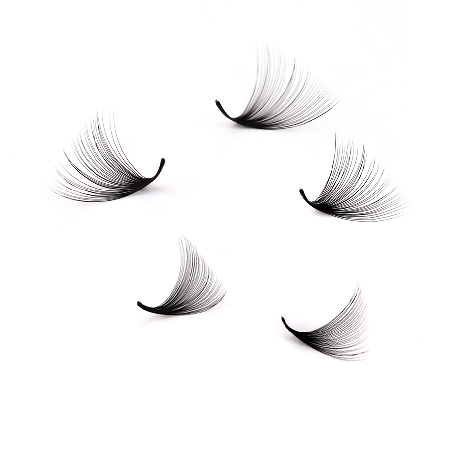 Lashprofessor XL Tray 3D 4D 5D - Mega Volume Lash recension och pris