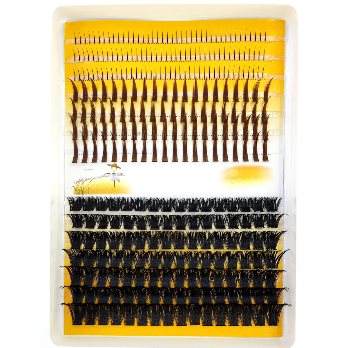 AMSDCN 60D-120D eyelash cluste - Eyelash Extension Doll Eye recension och pris